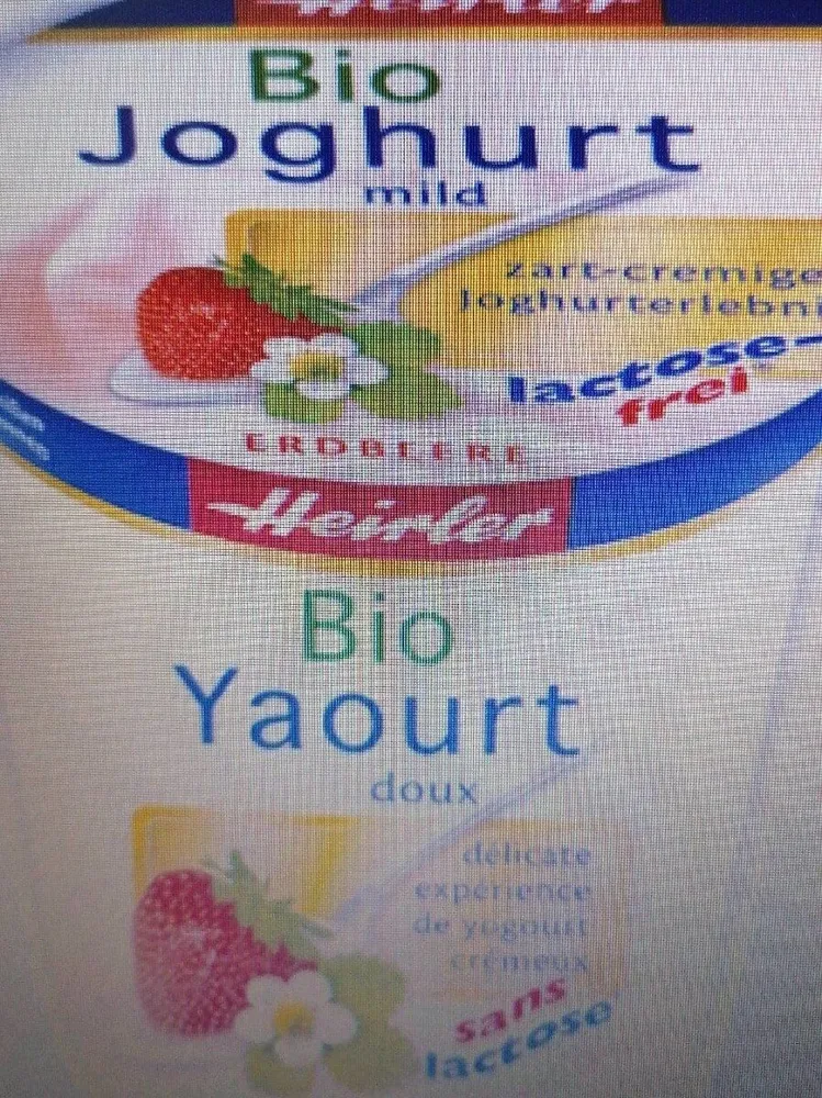 Yaourt fraise sans lactose
