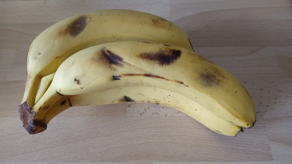 Bananes Cavendish