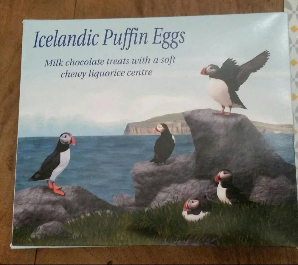 Icelandic puffin eggs