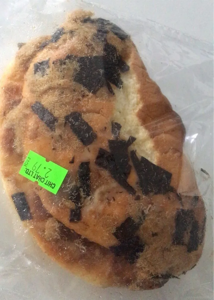 Dry Pork Cake