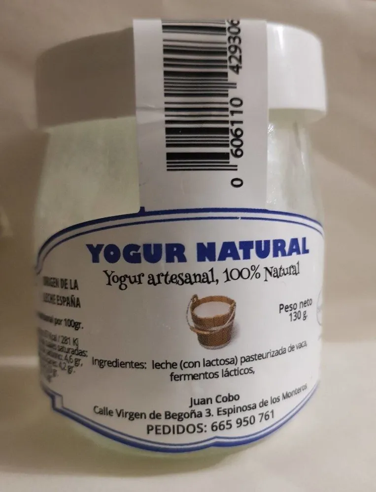 Yogur natural artesanal