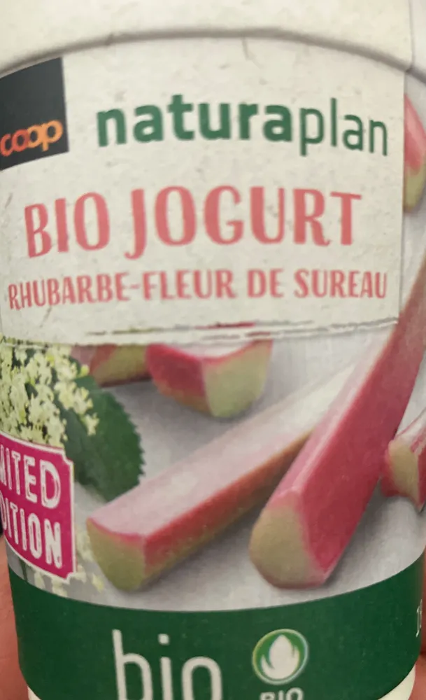 Hogue rhubarbe-fleur de sureau