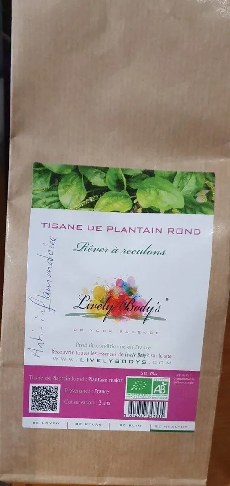 Tisane de plantain rond