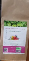 Tisane de plantain rond