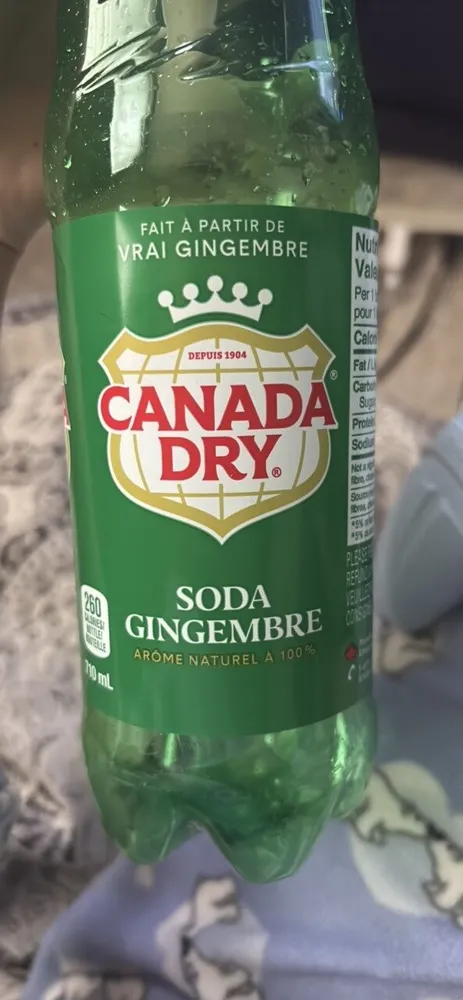 Soda Gingembre