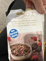 granola mit dunkler schoki und hilbeeren