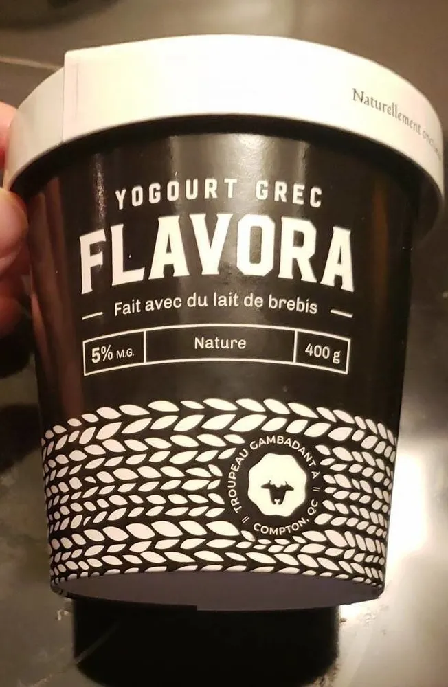 Yogourt grec nature de lait de brebis