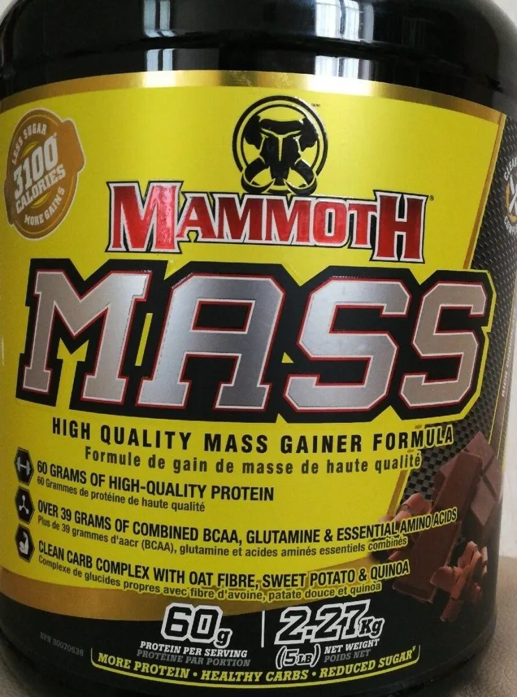 Mammoth Mass Choc
