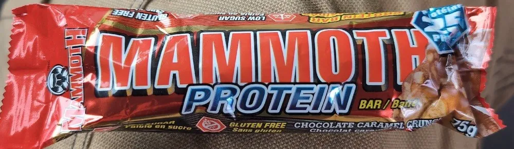 Mammoth protein bar