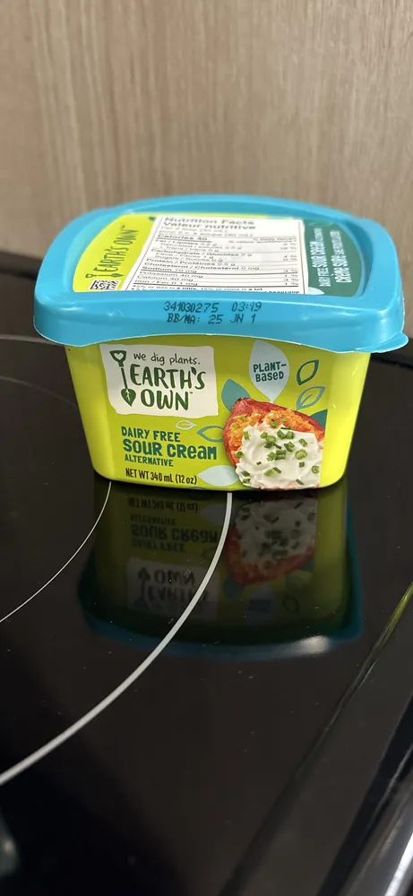 Dairy Free Sour Cream Alternative