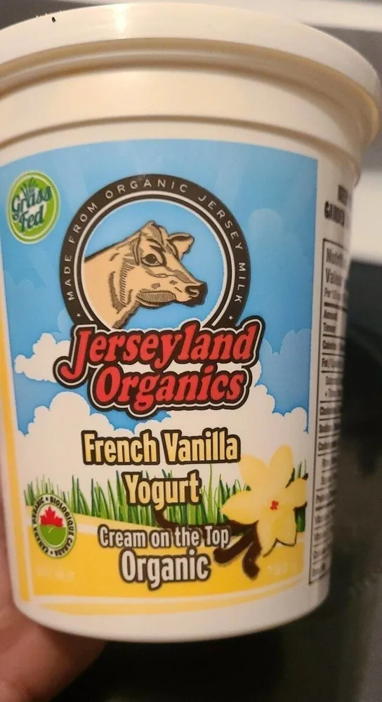 French vanilla yogurt