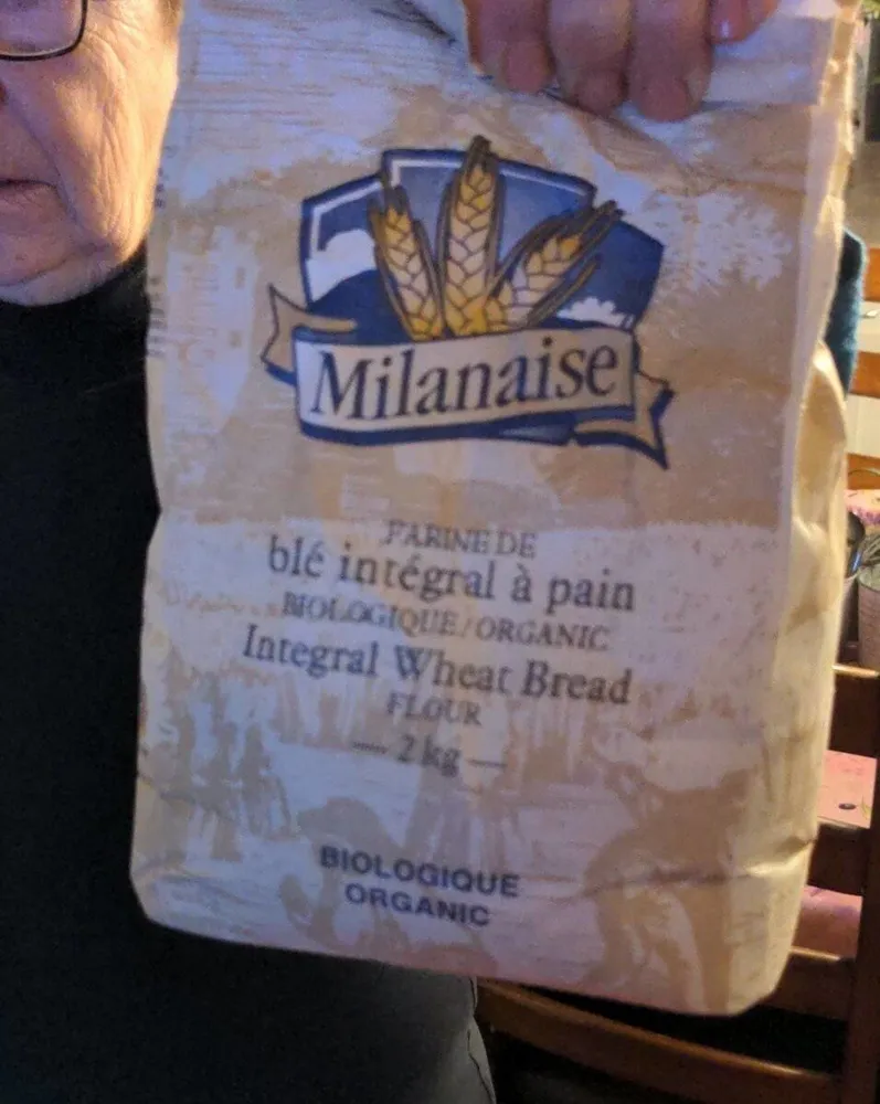farine de blé intégral a pain
