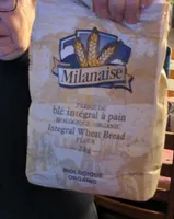 farine de blé intégral a pain