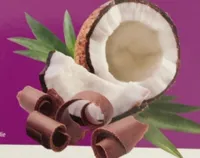 Chocolate Coconut Nutribar