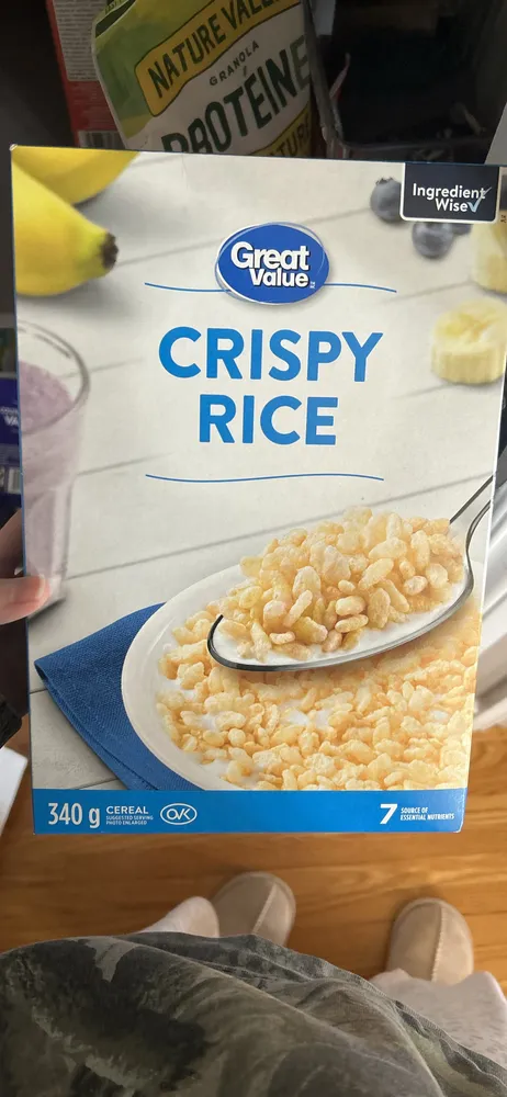 Crispy Rice