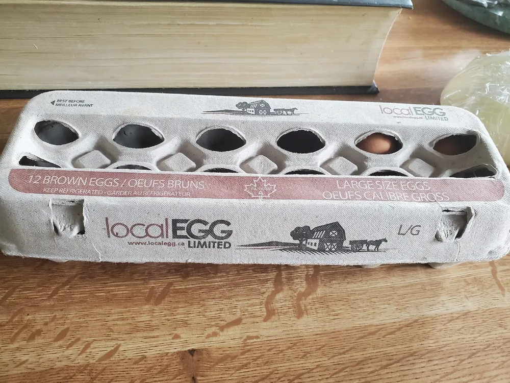 12 Brown Eggs