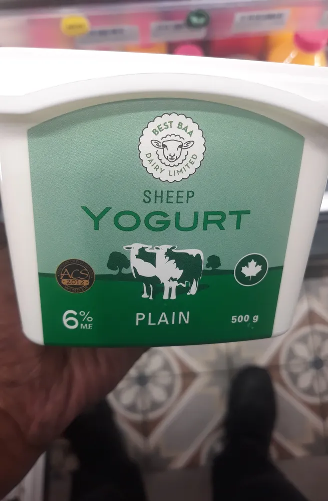 Plain Sheep's Milk Yogurt