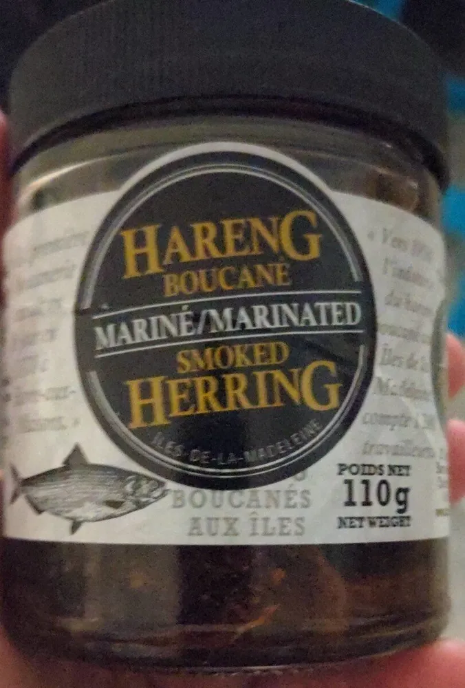 Hareng boucané mariné