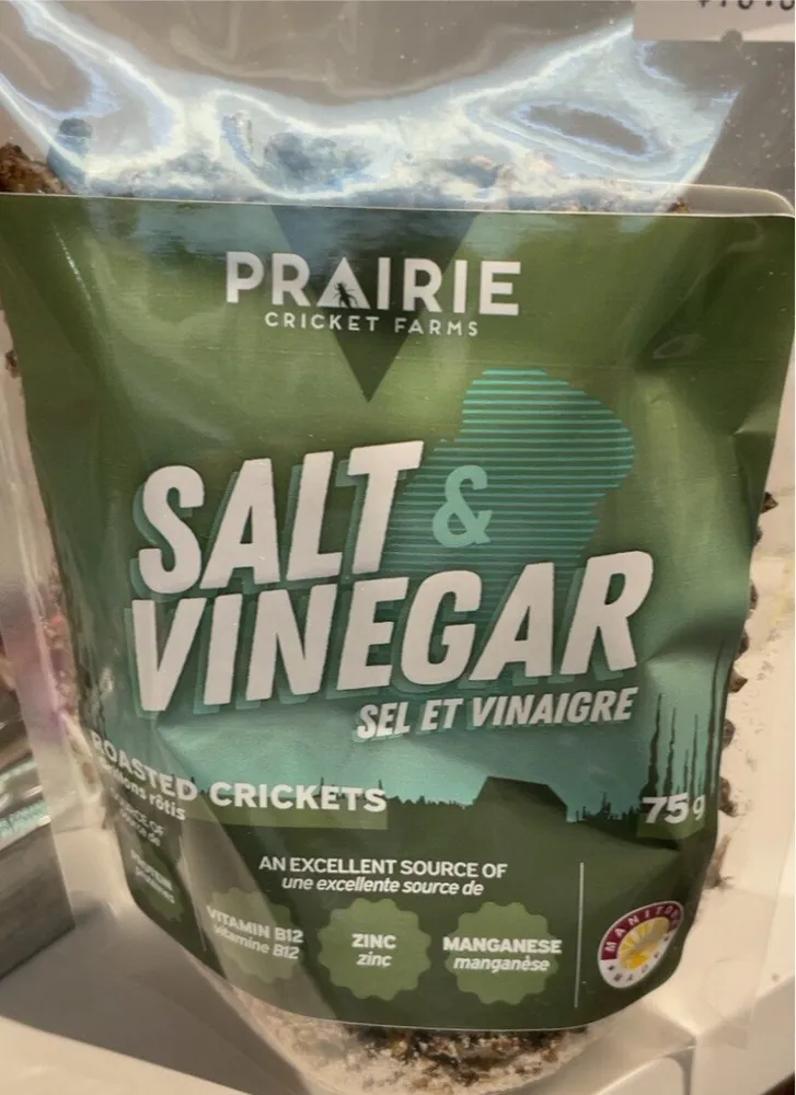 Salt and Vinegar roasted cricket