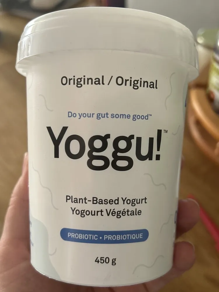 Plant based yogurt