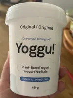 Plant based yogurt