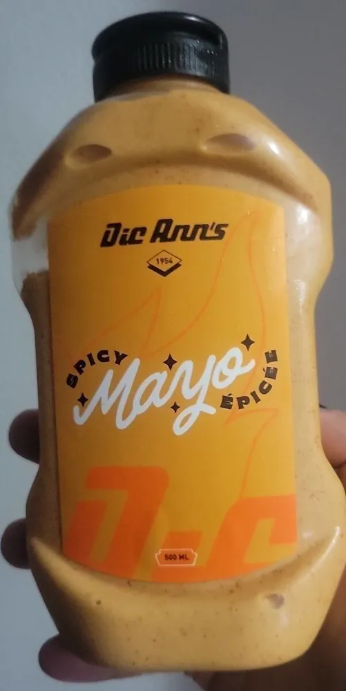 Mayonaise épicée