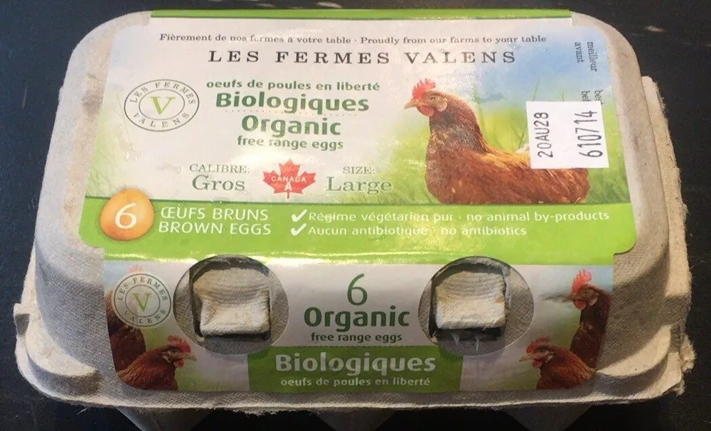 Œufs de poules en liberté biologique