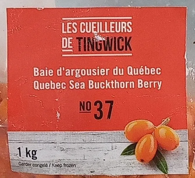 Baie d'argousier du Québec