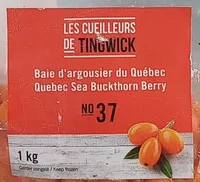 Baie d'argousier du Québec