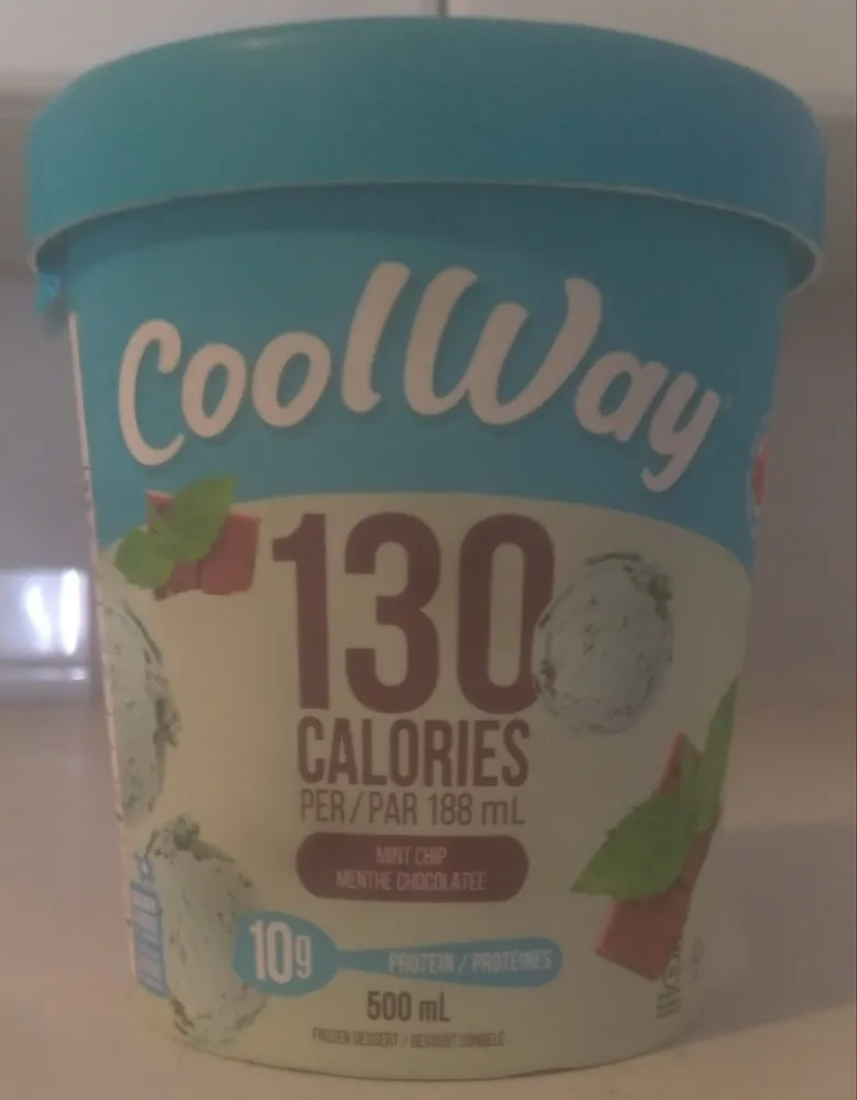 Mint Chip Frozen Dessert