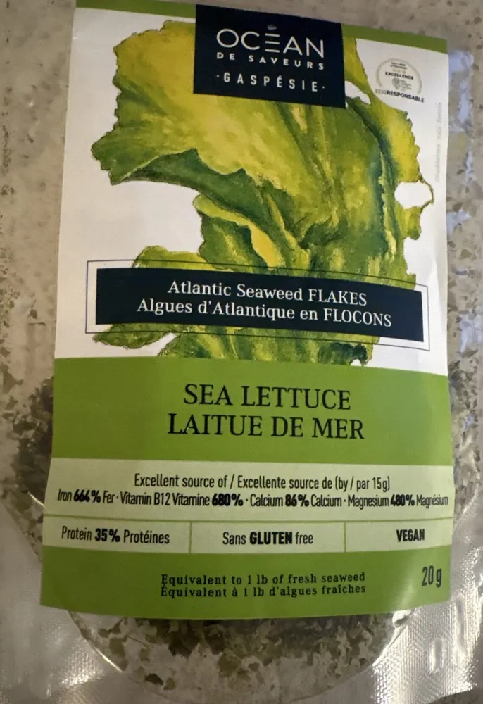 Laitue de mer d'Atlantique