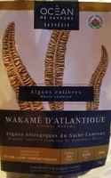 Wakamé de l'Atlantique