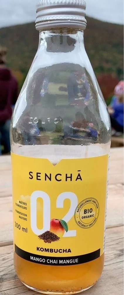 Kombucha 02 mango chaï mangue