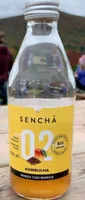 Kombucha 02 mango chaï mangue