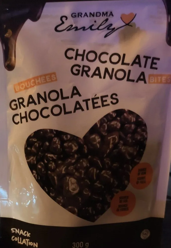 Chocolate Granola Bites