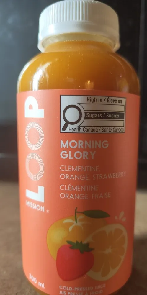 Morning Glory