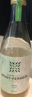 Kombucha