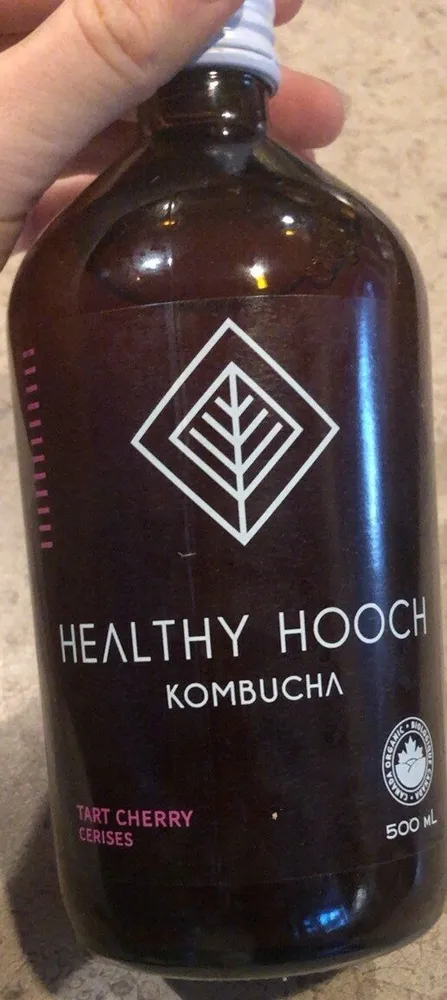 Healthy hooch kombucha