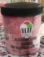 Blueberry lemon sorbet