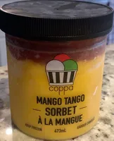 Mango Tango  -  Sorbet à la mangue