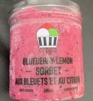 Blueberry lemon sorbet