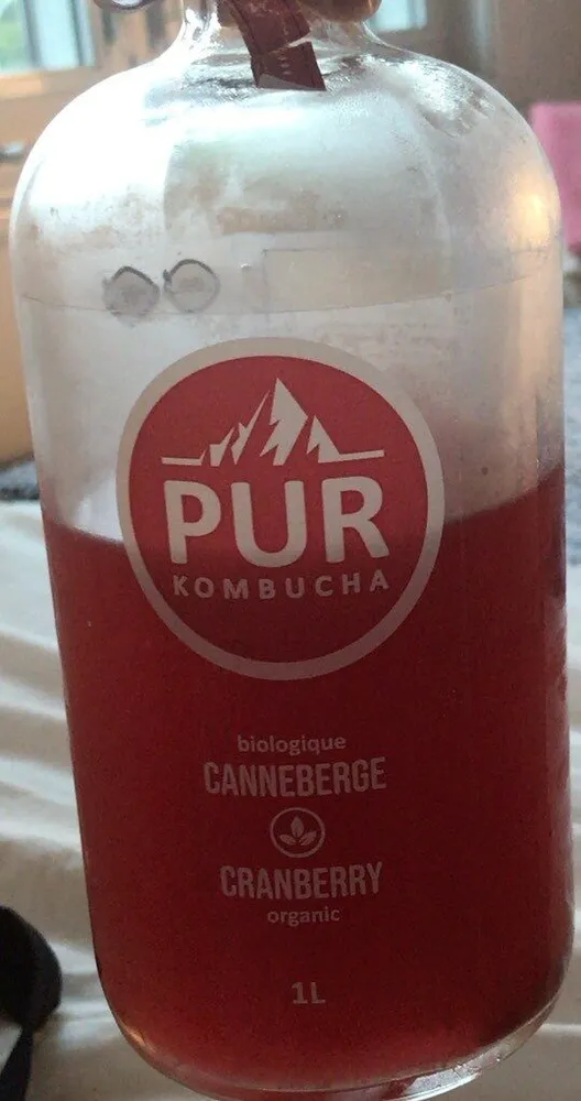 Kumbucha canneberge