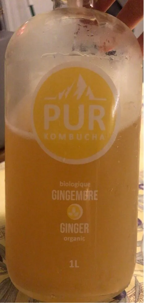 Pur Kombucha