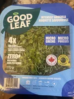 Intensely Arugula Micros