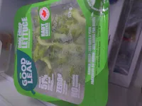 COOL CRISP LETTUCE