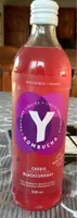 Kombucha cassis impultion blackcurrant