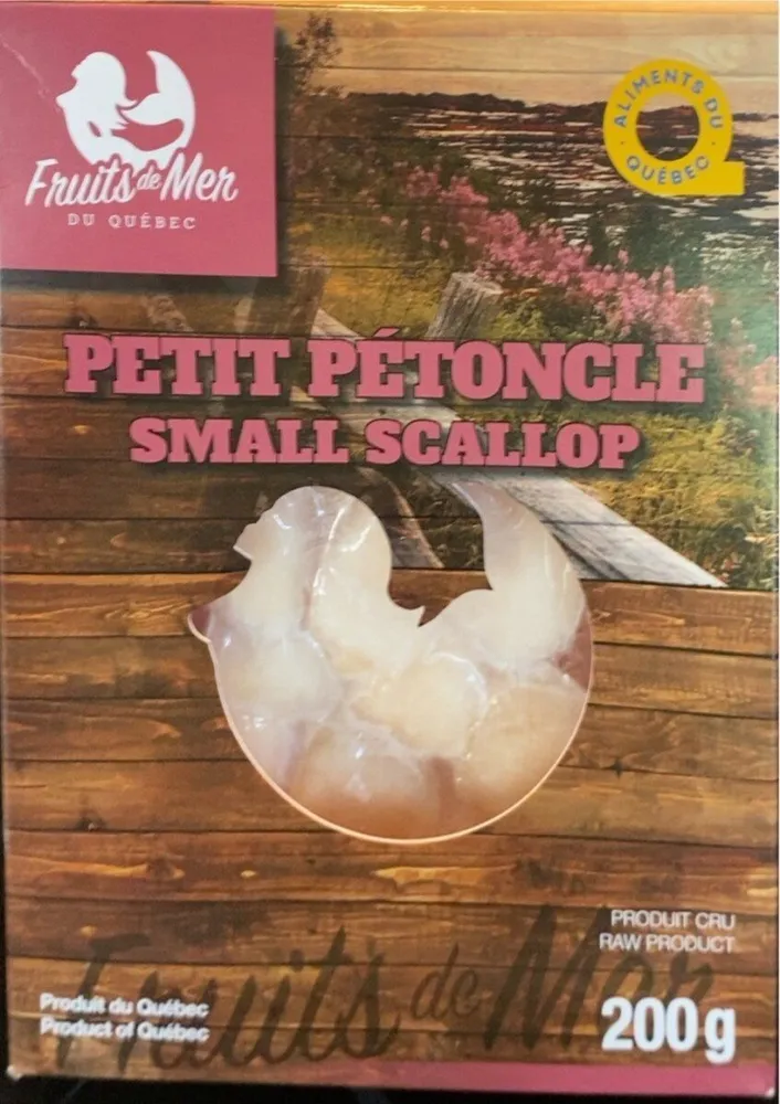 Petit pétoncle