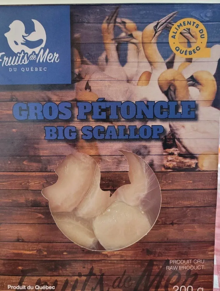 Gros pétoncle