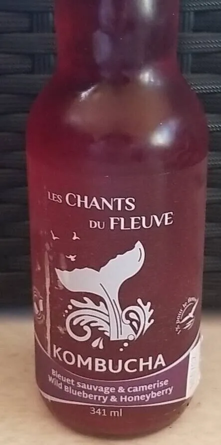 Kombucha Bleuet sauvage et camerise