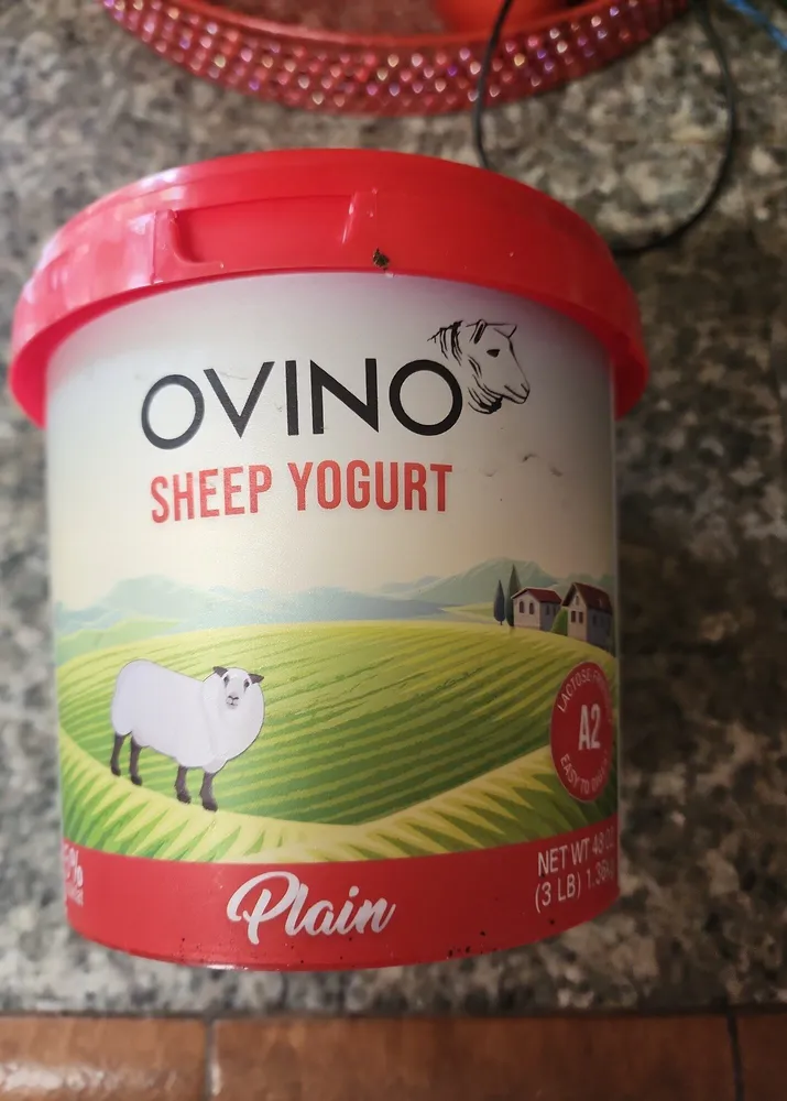 Sheep Yogurt